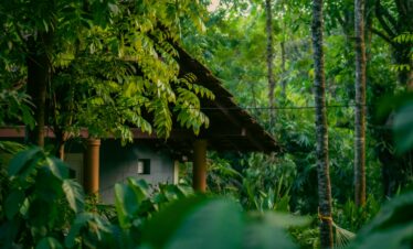Amazing Coorg 2N 3D